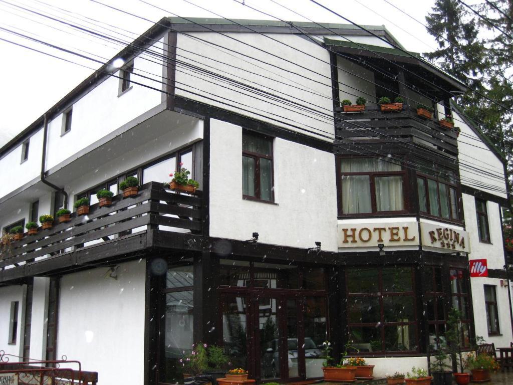 Hotel Regina Сіная Екстер'єр фото
